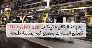 فرصة عمل في صناعة السيارات 2022